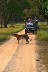 Kanha Tiger Reserve tour